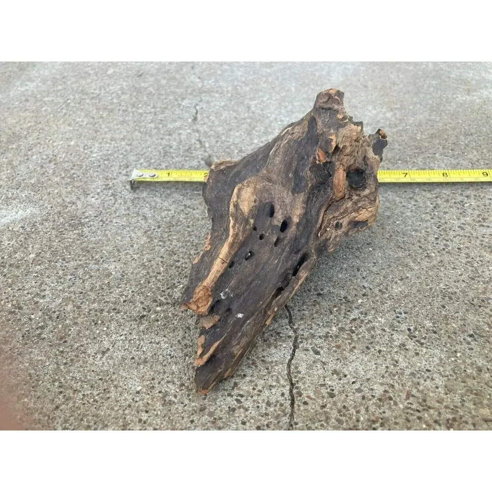 Ohio River Driftwood 6.25